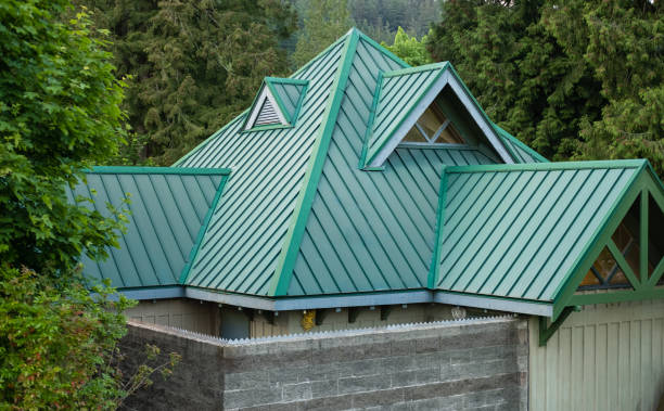 Best Roof Moss and Algae Removal  in Dickson City, PA