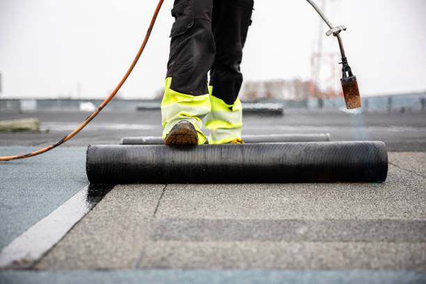 Best Roof Maintenance and Cleaning  in Dickson City, PA